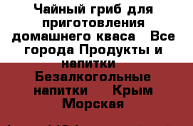 Чайный гриб для приготовления домашнего кваса - Все города Продукты и напитки » Безалкогольные напитки   . Крым,Морская